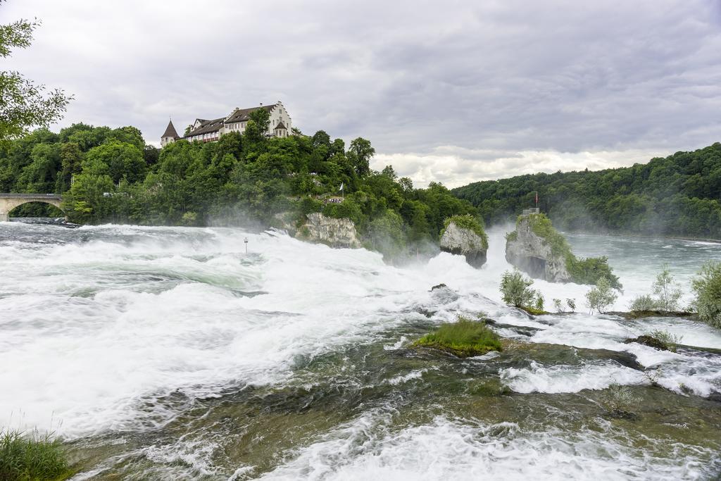 Hotel Rheingold Гайлинген Экстерьер фото